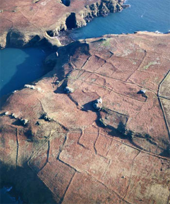 Systemau caeau cynhanesyddol ar Ynys Sgomer, Sir Benfro. Hawlfraint y Goron (h)CBHC (NPRN243692001–CS–0664A)